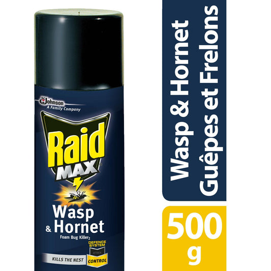 Raid Max Wasp and Hornet Insect Killer Foam, 500g